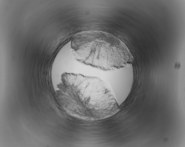 X0000111510503200908251116