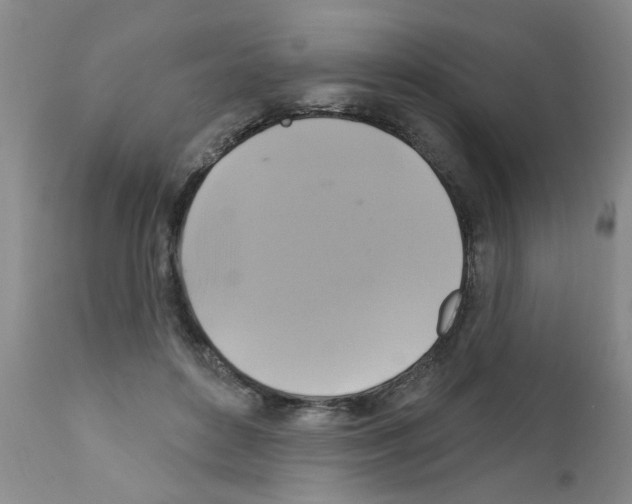 X0000111510504200908251116