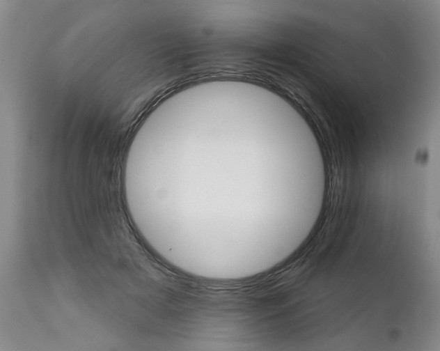 X0000111510505200908251116