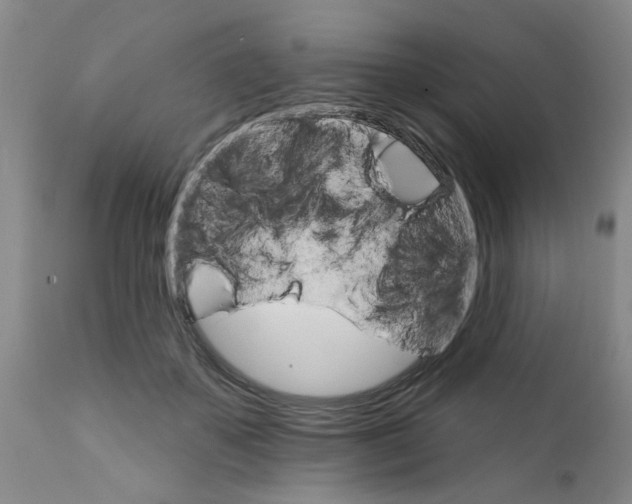 X0000111510507200908251116