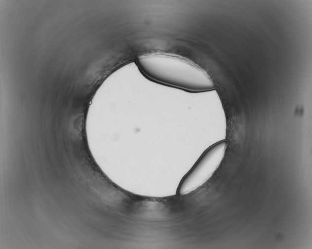X0000111510509200908251116