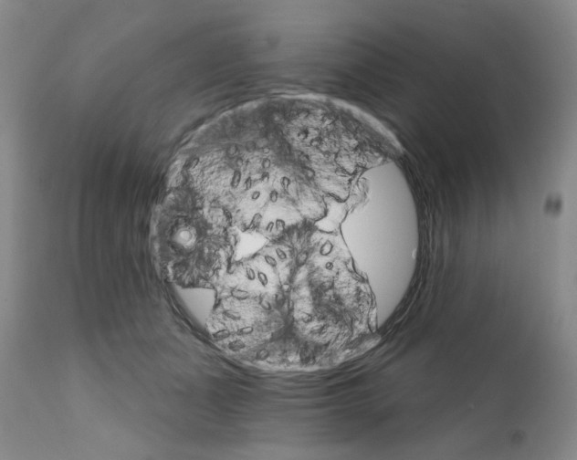X0000111510511200908251116