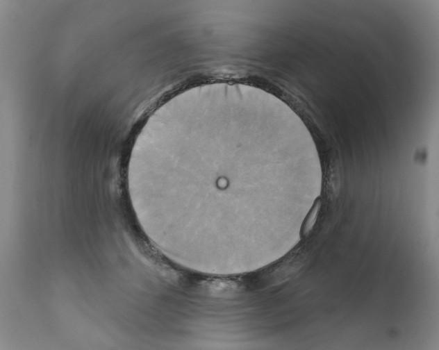 X0000111510512200908251116