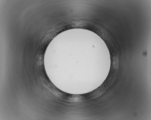 X0000111510514200908251116