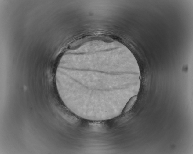 X0000111510516200908251116