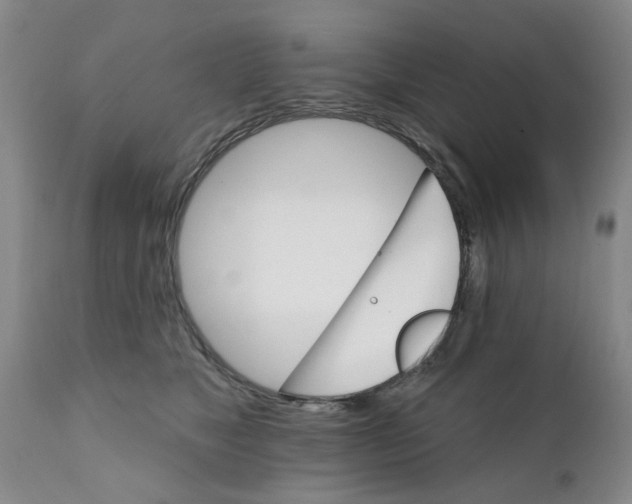 X0000111510517200908251116