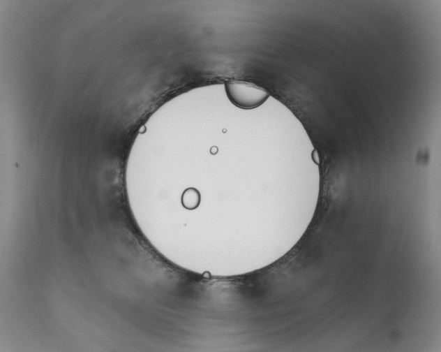 X0000111510518200908251116