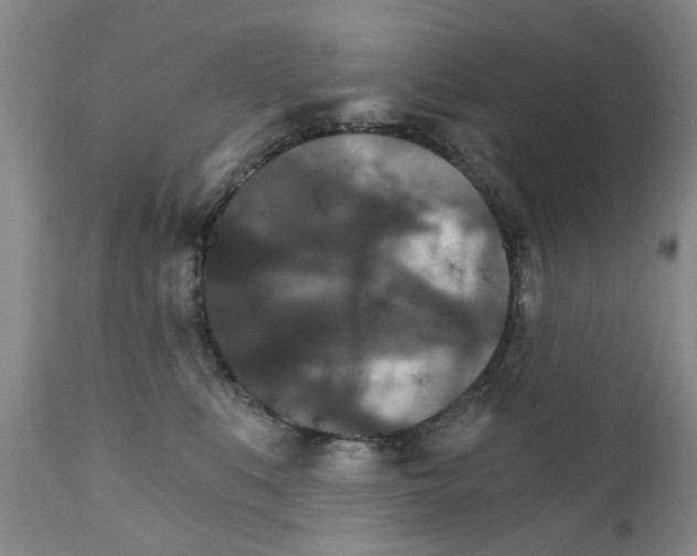 X0000111510519200908251116