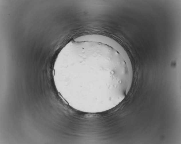 X0000111510520200908251116