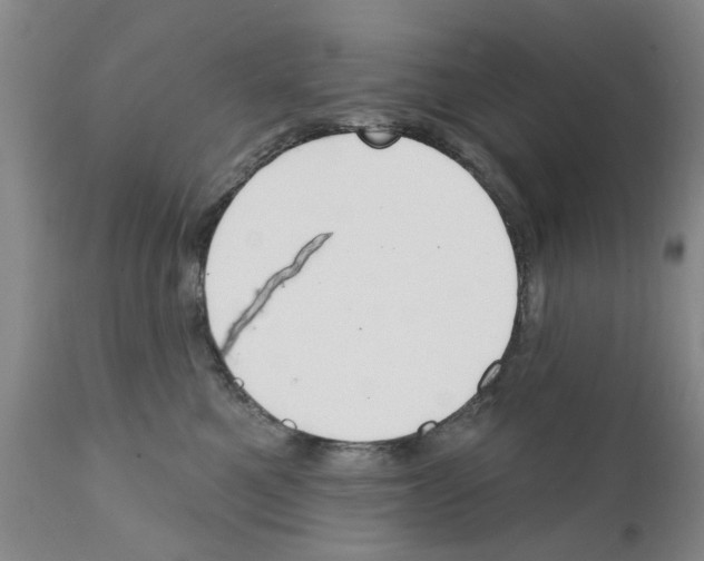 X0000111510521200908251116