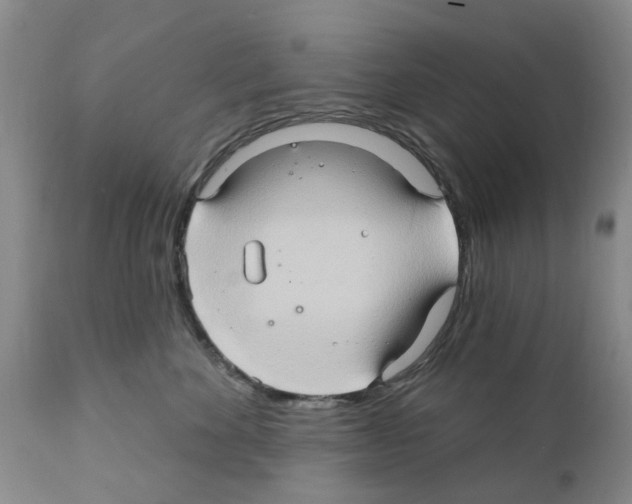 X0000111510524200908251116