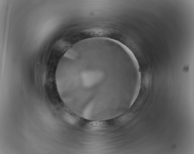 X0000111510526200908251116