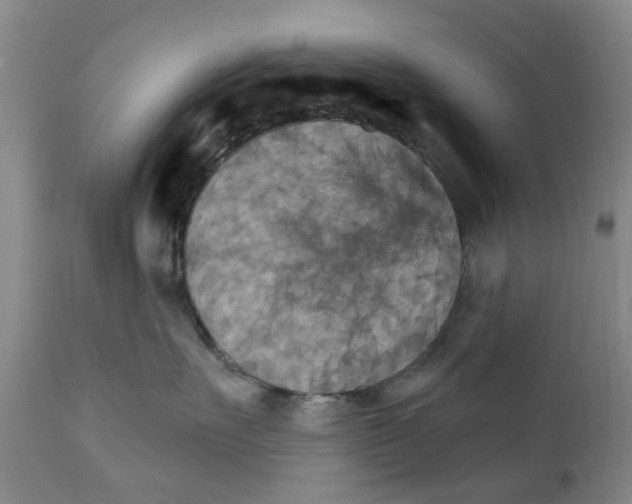 X0000111510527200908251116