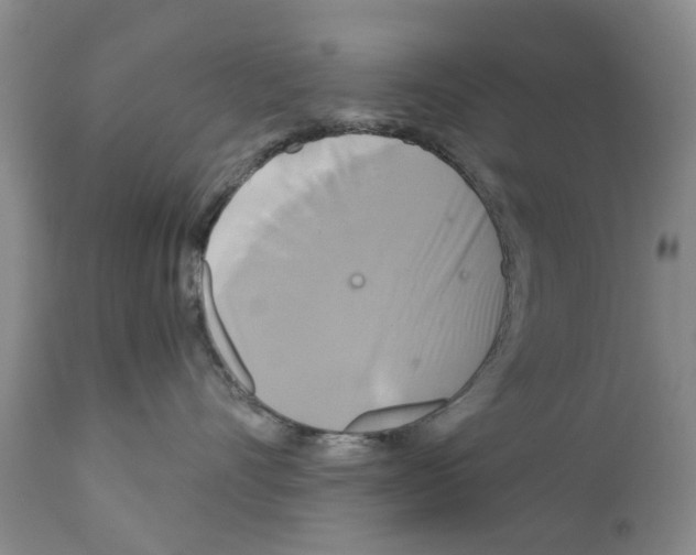 X0000111510528200908251116