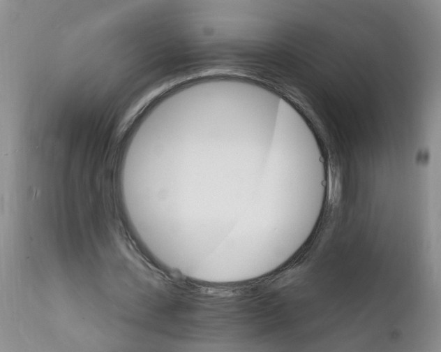 X0000111510531200908251115