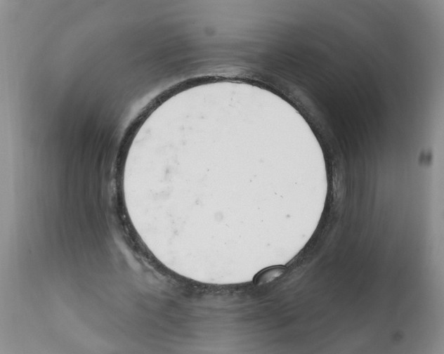 X0000111510532200908251115