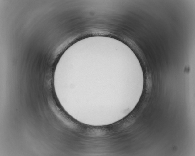 X0000111510533200908251115