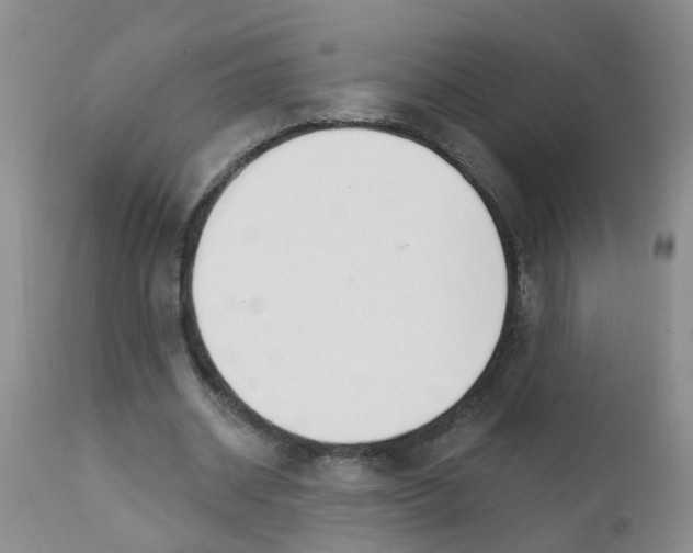 X0000111510534200908251115