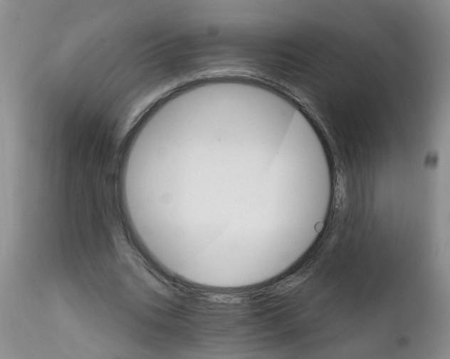 X0000111510535200908251115