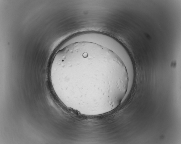 X0000111510536200908251115