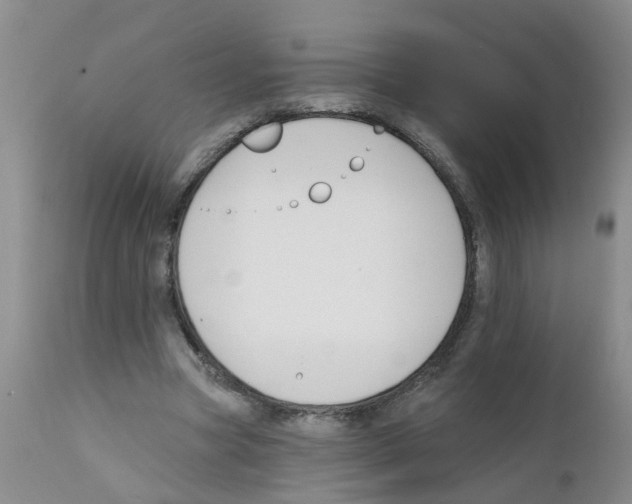 X0000111510537200908251115