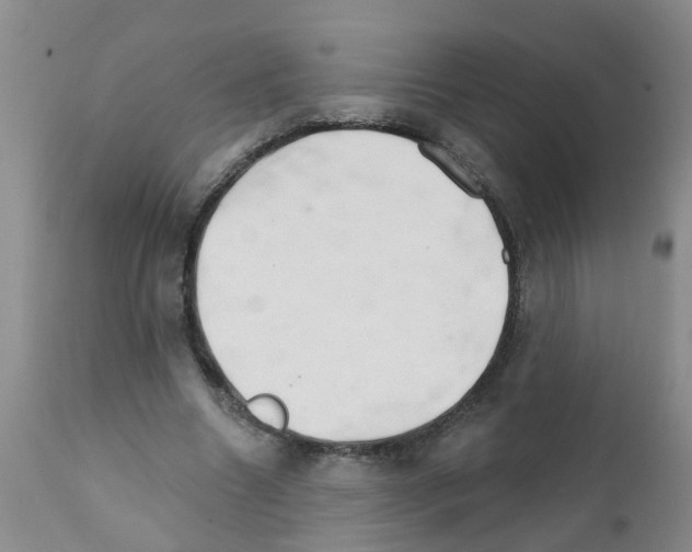 X0000111510538200908251115
