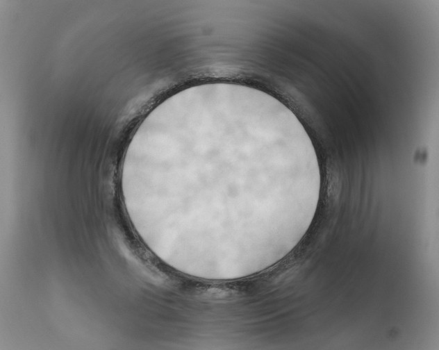 X0000111510542200908251115