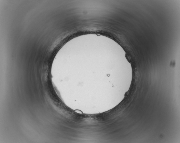 X0000111510544200908251115