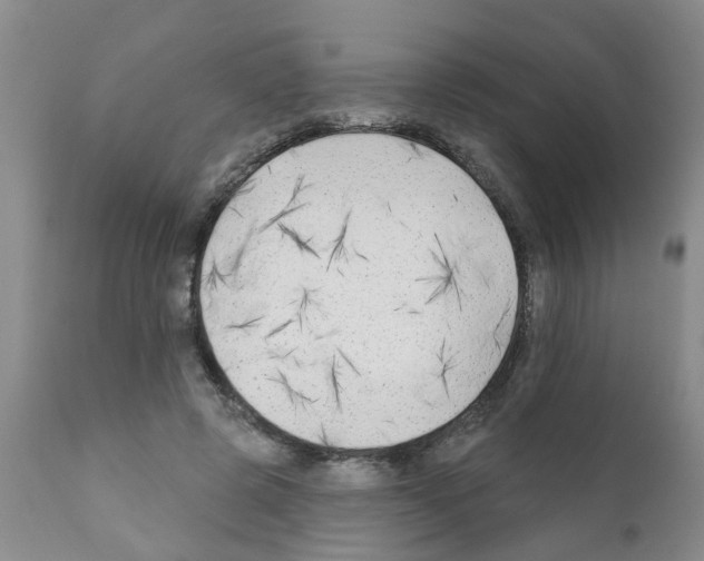 X0000111510545200908251115