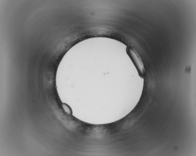 X0000111510546200908251115