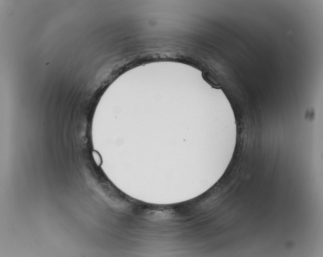 X0000111510548200908251115