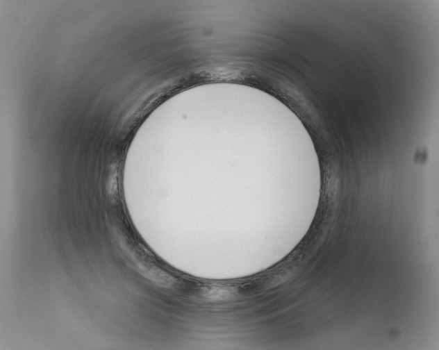X0000111510549200908251115