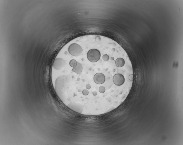 X0000111510550200908251115