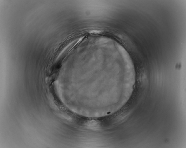 X0000111510551200908251115