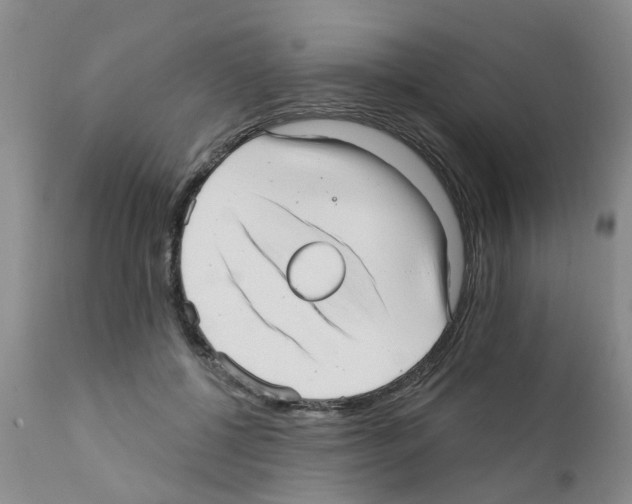 X0000111510552200908251115