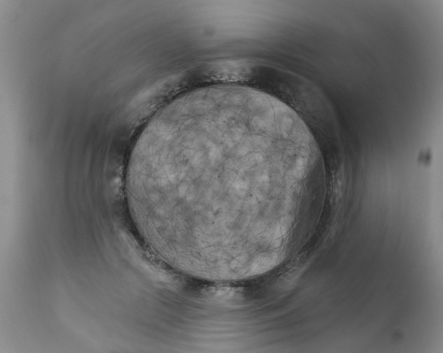 X0000111510553200908251115