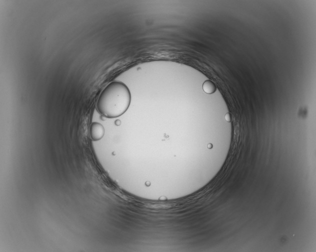 X0000111510554200908251115