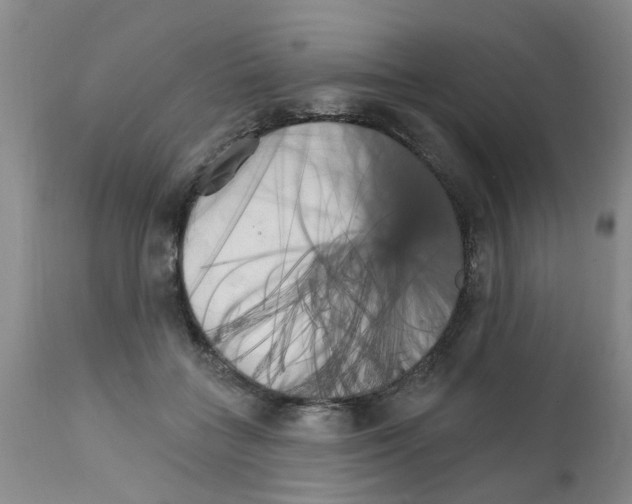 X0000111510555200908251115