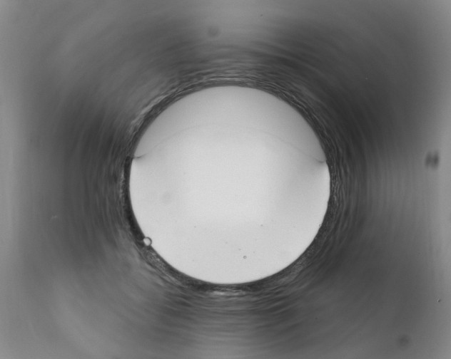 X0000111510556200908251115