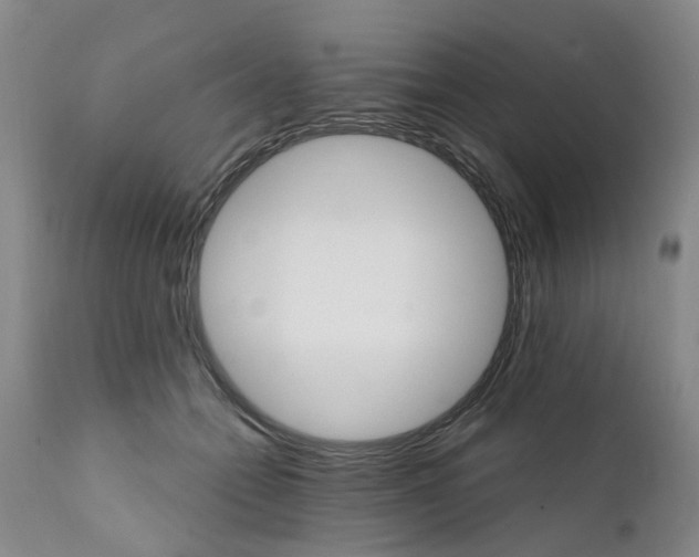 X0000111510558200908251115