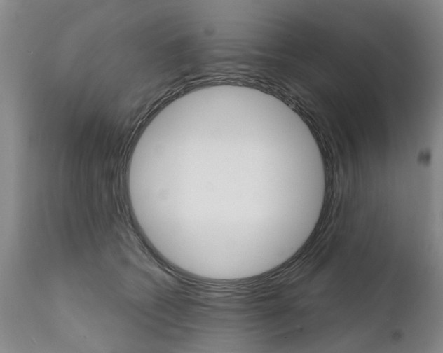 X0000111510562200908251115