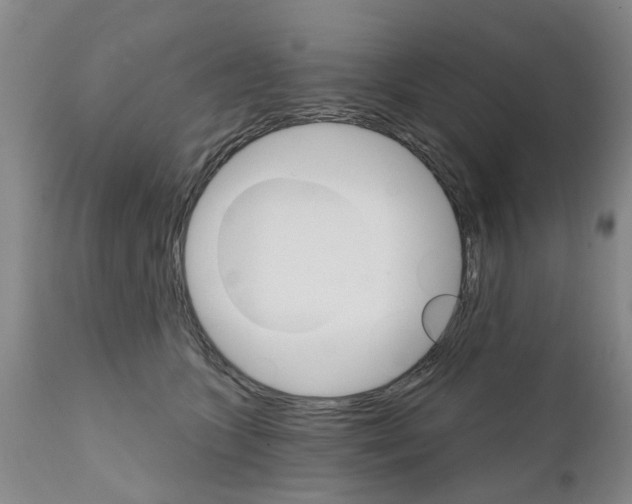 X0000111510563200908251115