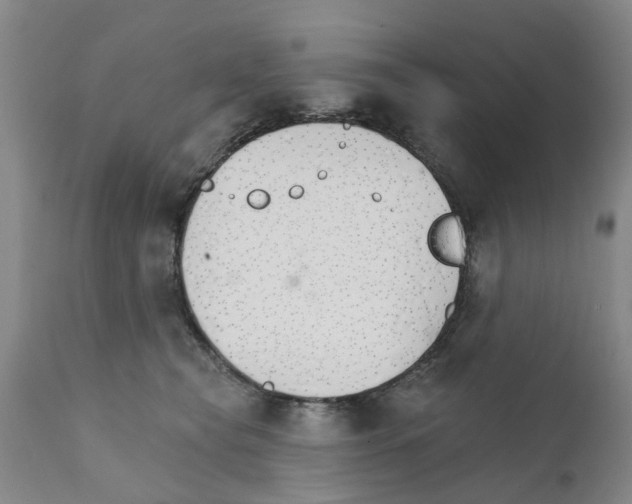 X0000111510565200908251116