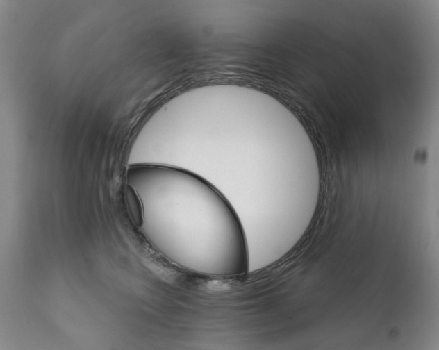 X0000111510566200908251116