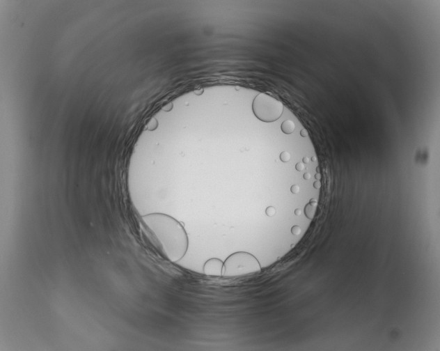X0000111510567200908251116