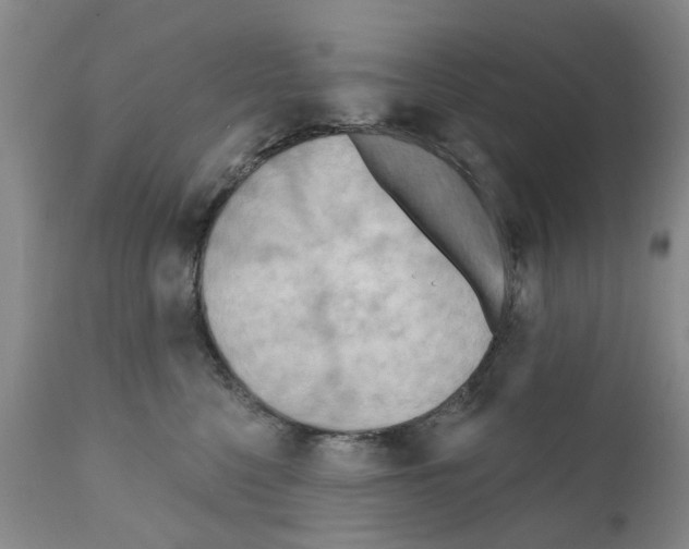 X0000111510568200908251116