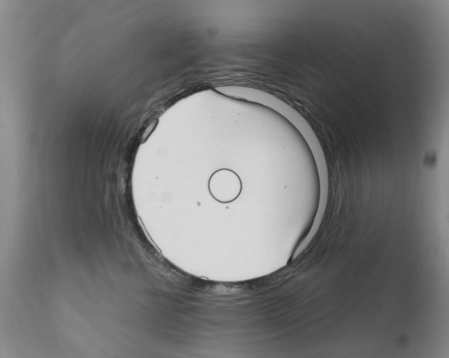 X0000111510570200908251116
