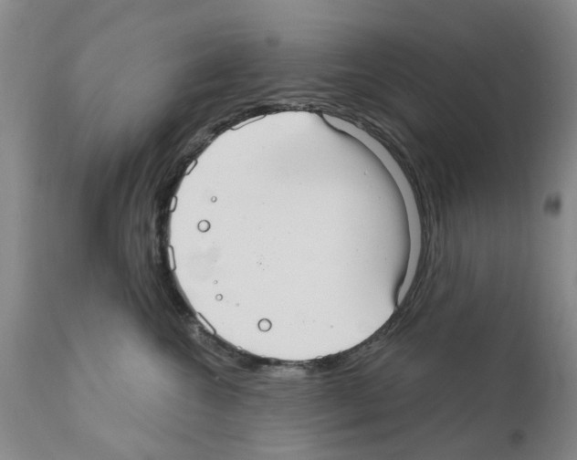 X0000111510572200908251116