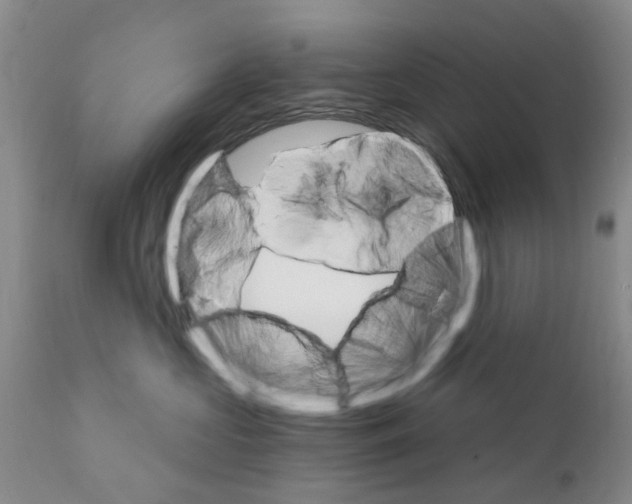 X0000111510573200908251116