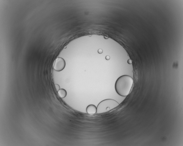 X0000111510575200908251116